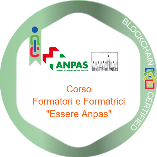 Badge pubblico 62395